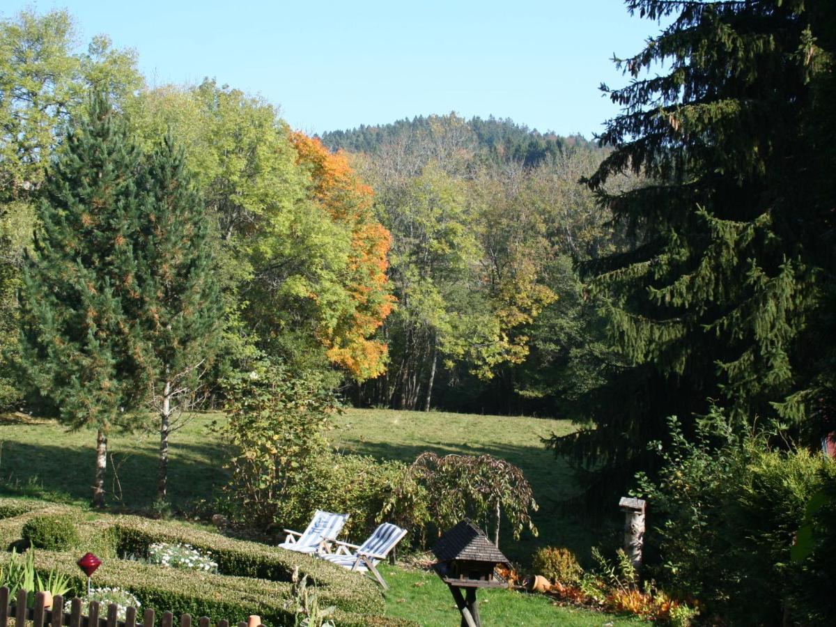 Cozy Holiday Apartment In The Black Forest Dachsberg im Schwarzwald Dış mekan fotoğraf