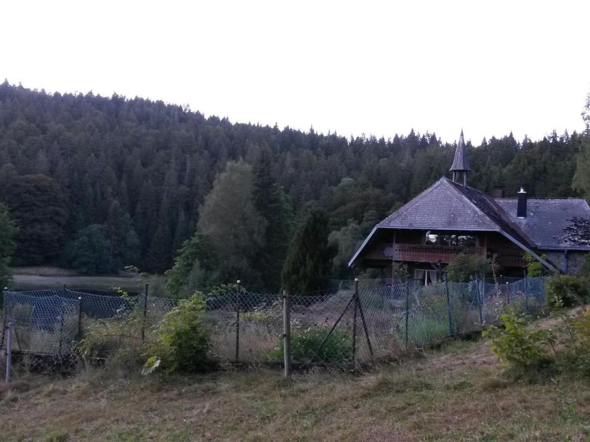 Cozy Holiday Apartment In The Black Forest Dachsberg im Schwarzwald Dış mekan fotoğraf