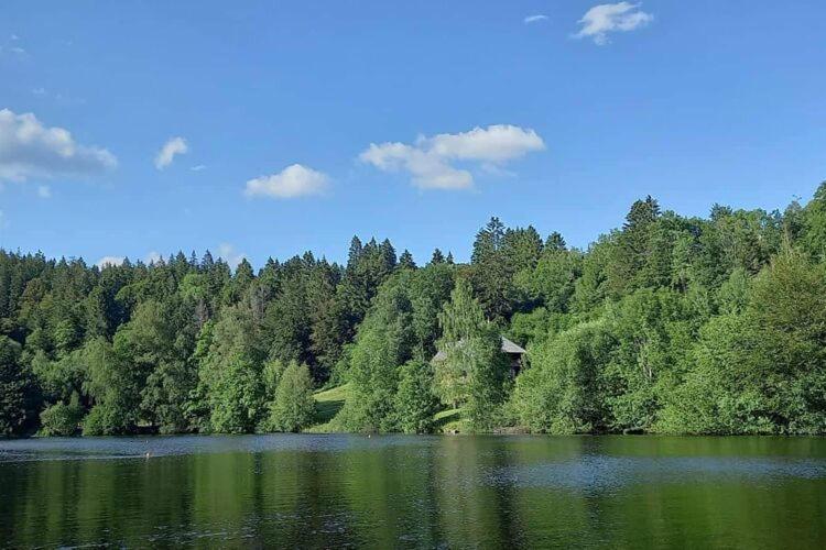 Cozy Holiday Apartment In The Black Forest Dachsberg im Schwarzwald Dış mekan fotoğraf