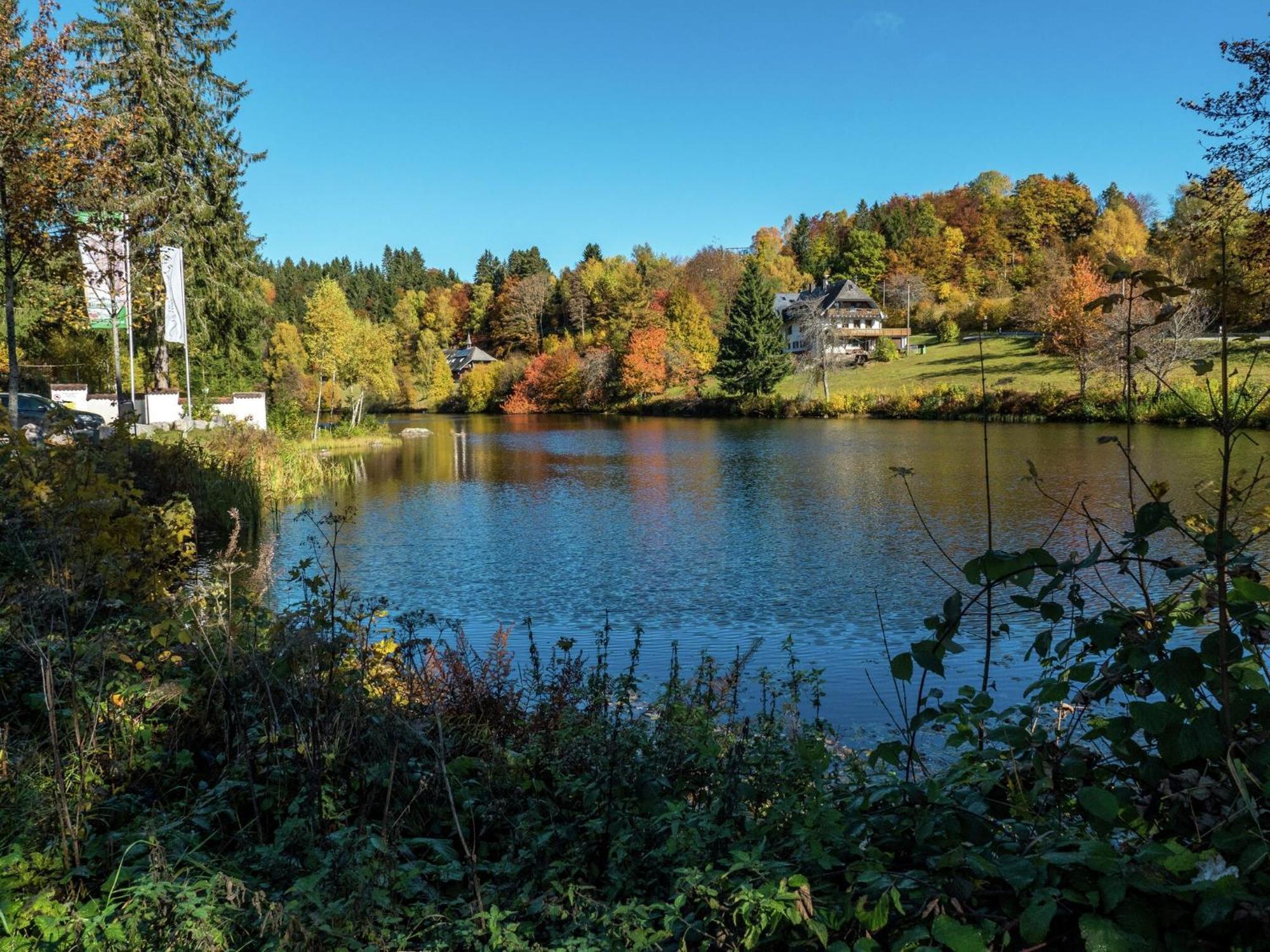 Cozy Holiday Apartment In The Black Forest Dachsberg im Schwarzwald Dış mekan fotoğraf